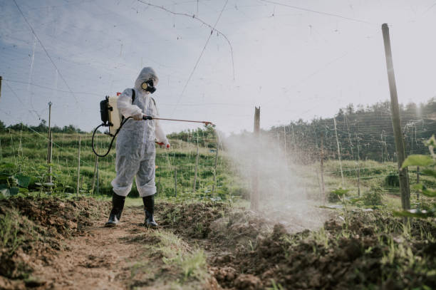 Best Mosquito Control Services  in Carroll, IA