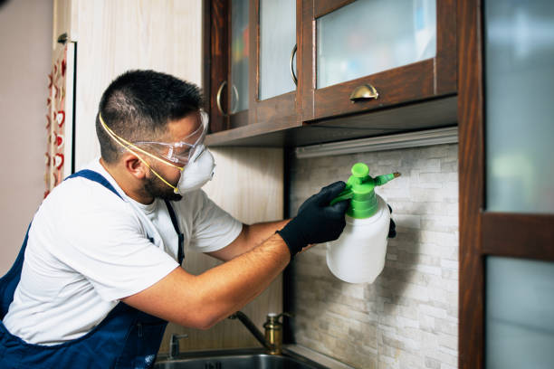 Best Wildlife Control Services  in Carroll, IA