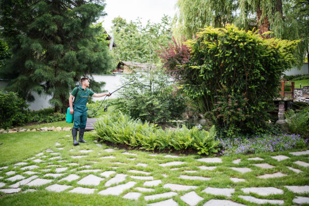 Best Affordable Pest Control Services  in Carroll, IA