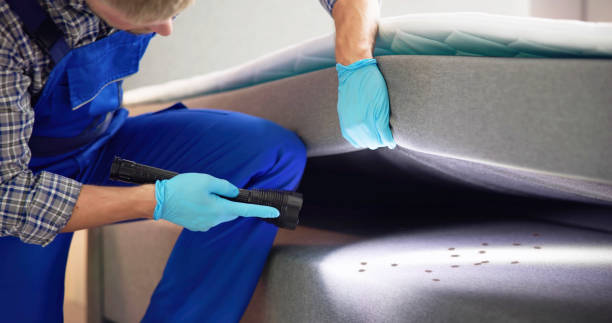 Best Exterminator Services  in Carroll, IA