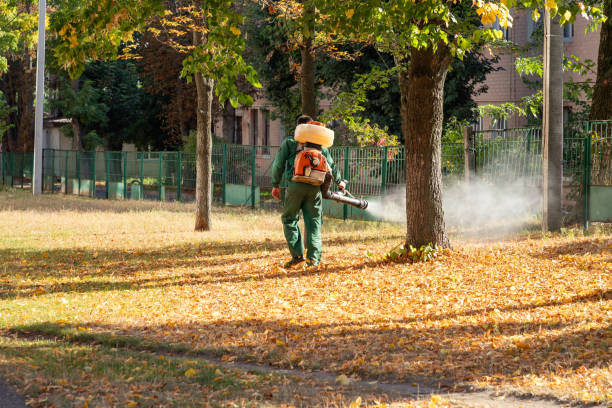 Best Commercial Pest Control Services  in Carroll, IA