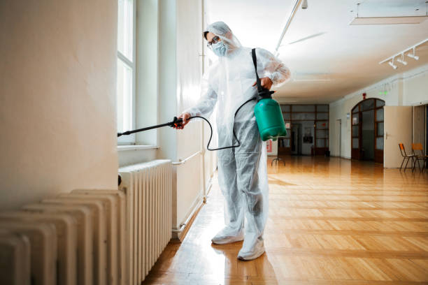 Best Pest Removal Services  in Carroll, IA